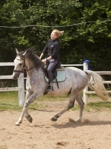 Photo #4